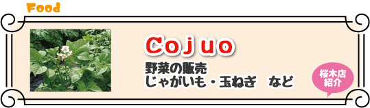 Cojuo